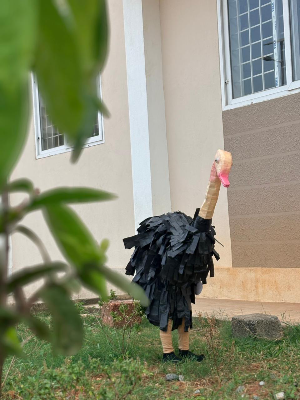 Prachanna Vesha Spardhe in RVK - Mangaluru (18)