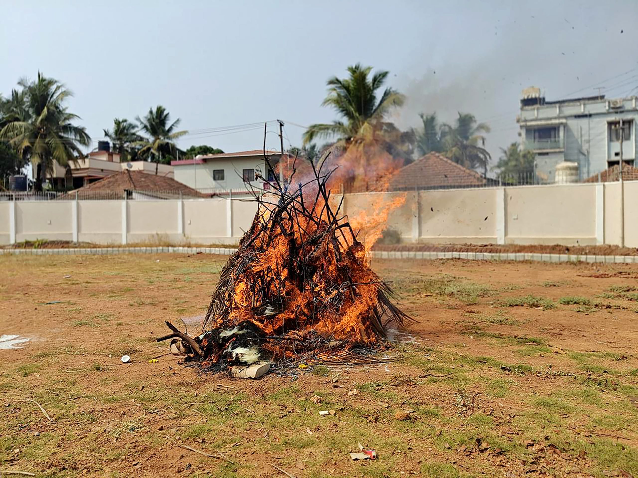 Holi celebrations at RVK - Mangaluru at 4.36.51 PM